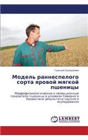 Model' Rannespelogo Sorta Yarovoy Myagkoy Pshenitsy