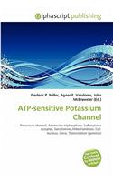 Atp-Sensitive Potassium Channel: (English)