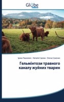 Гельмінтози травного каналу жуйних твар