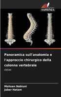 Panoramica sull'anatomia e l'approccio chirurgico della colonna vertebrale