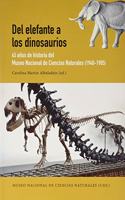 Del elefante a los dinosaurios: 45 anos de historia del Museo Nacional de Ciencias Naturales, 1940-1985