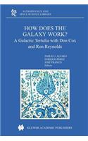 How Does the Galaxy Work?