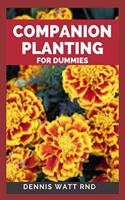Companion Planting for Dummies