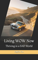 Living WOW Now