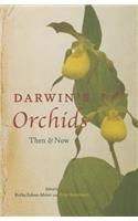 Darwin's Orchids