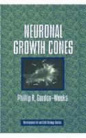 Neuronal Growth Cones