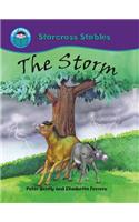 The Storm