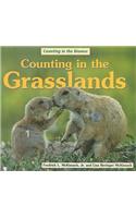 Counting in the Grasslands