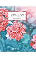 2019 - 2020 18 Month Planner; Red Flowers: (Appointment Books, Monthly Calendar Planners and Personal Organizers)