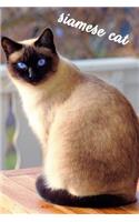 Siamese Cat