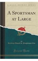 A Sportsman at Large (Classic Reprint)