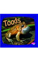 Toads