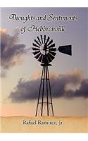 Thoughts and Sentiments of Hebbronville: (English)