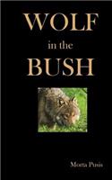 Wolf in the Bush