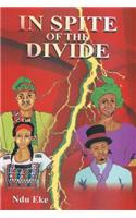 In Spite of the Divide