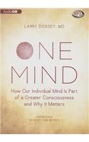 One Mind: How Our Individual Mind Is Part of a Greater Consciousness and Why It Matters