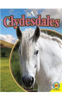 Clydesdales