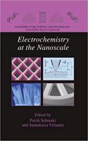 Electrochemistry at the Nanoscale (Nanostructure Science and Technology) [Special Indian Edition - Reprint Year: 2020] [Paperback] Patrik Schmuki; Sannakaisa Virtanen