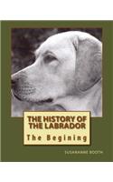The History of the Labrador the Begining