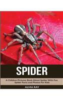 Spider