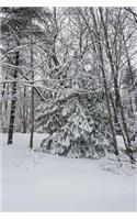 Winter Weather Journal Snowstorm Trees