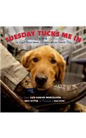 Tuesday Tucks Me In
