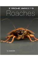 Roaches