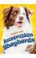 Australian Shepherds