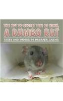 The Not So Secret Life of NIMH, a Dumbo Rat