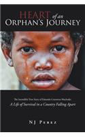 Heart of an Orphan's Journey