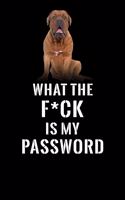 What The F*CK Is My Password, Dogue de Bordeaux