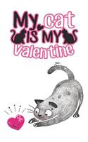 Cool Valentines Day Gifts for Him Boyfriends & Crazy Girlfriend Gifts Valentines Day Cat Card