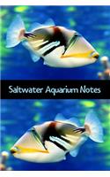Saltwater Aquarium Notes
