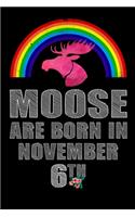 Moose Are Born In November 6th