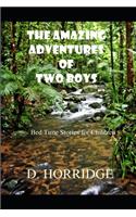 The Amazing Adventures of Two Boys