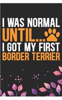 I Was Normal Until I Got My First Border Terrier