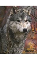 Gray Wolf