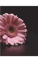 Gerbera Notebook Large Size 8.5 x 11 Ruled 150 Pages
