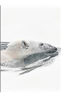 2019 Appointment Calendar: 2019 Daily Planner Goal Planner Polar Bear Swimming