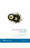 Saving Oil and Gas in the Gulf