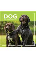 Dog Daily Planner Calendar 2017