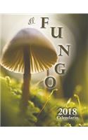 Il Fungo 2018 Calendario (Edizione Italia)