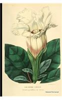 Botanical Print Journal