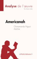 Americanah de Chimamanda Ngozi Adichie (Analyse de l'oeuvre): Résumé complet et analyse détaillée de l'oeuvre