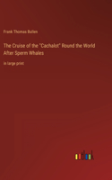 Cruise of the "Cachalot" Round the World After Sperm Whales: in large print