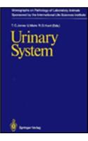 Urinary System