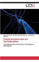 Fototransduccion En Vertebrados