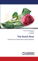 Dutch Rose