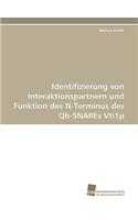 Identifizierung von Interaktionspartnern und Funktion des N-Terminus des Qb-SNAREs Vti1p