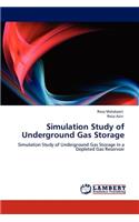 Simulation Study of Underground Gas Storage